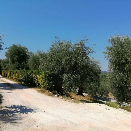 Pozzo Dei Desideri *